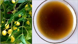 Neem Oil